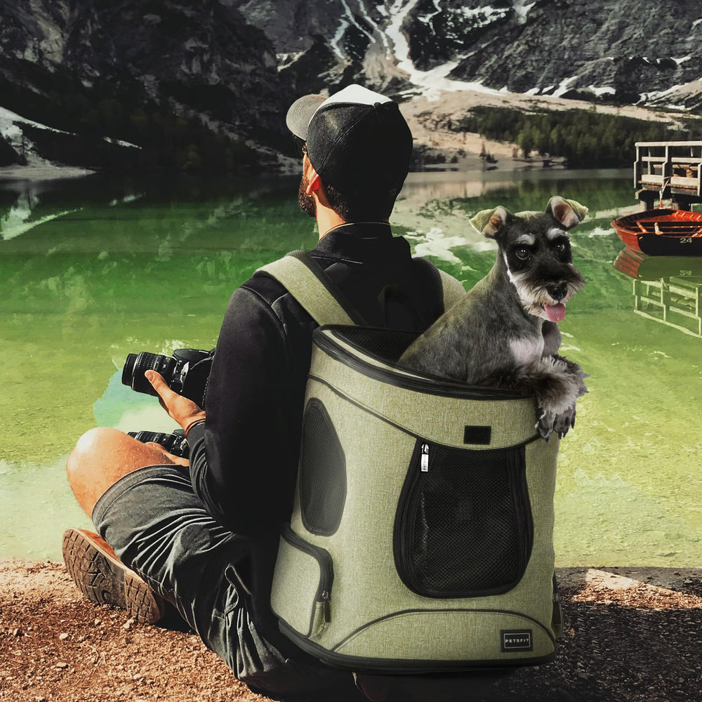 Petsfit Pet Backpack Carrier four mesh windows provide airflow and visibility