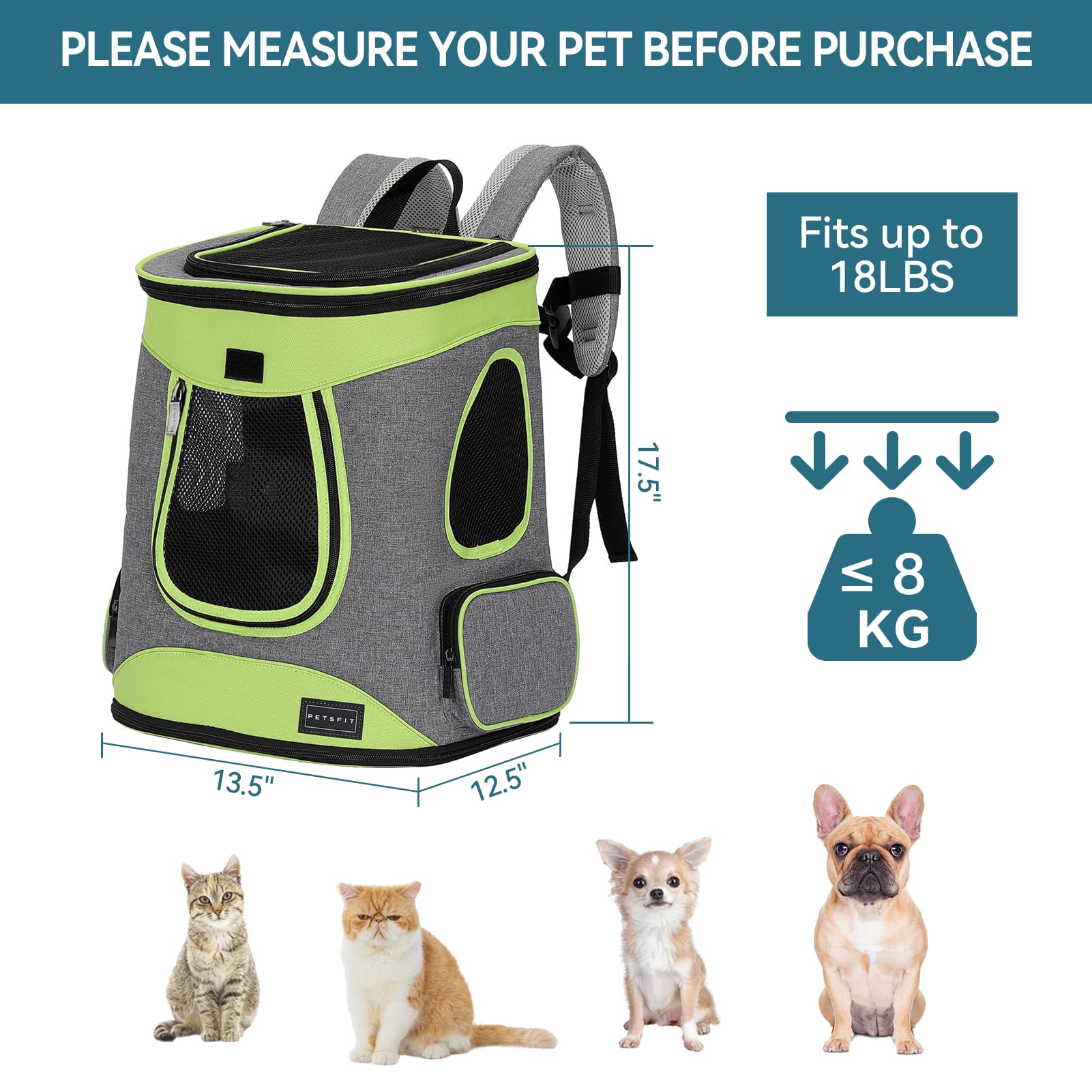 Petsfit mesh windows promote air circulation and pet visibility on outdoor adventures.