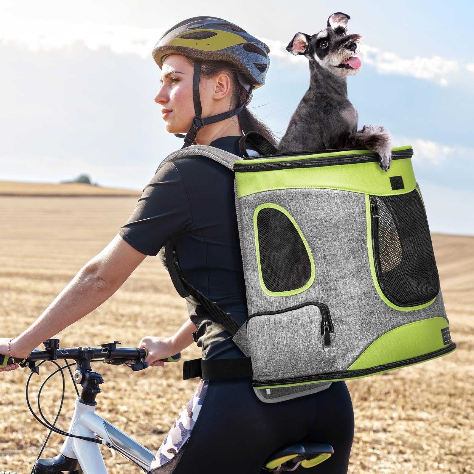 Petsfit backpack features removable mat for easy cleaning and pet comfort during travel.