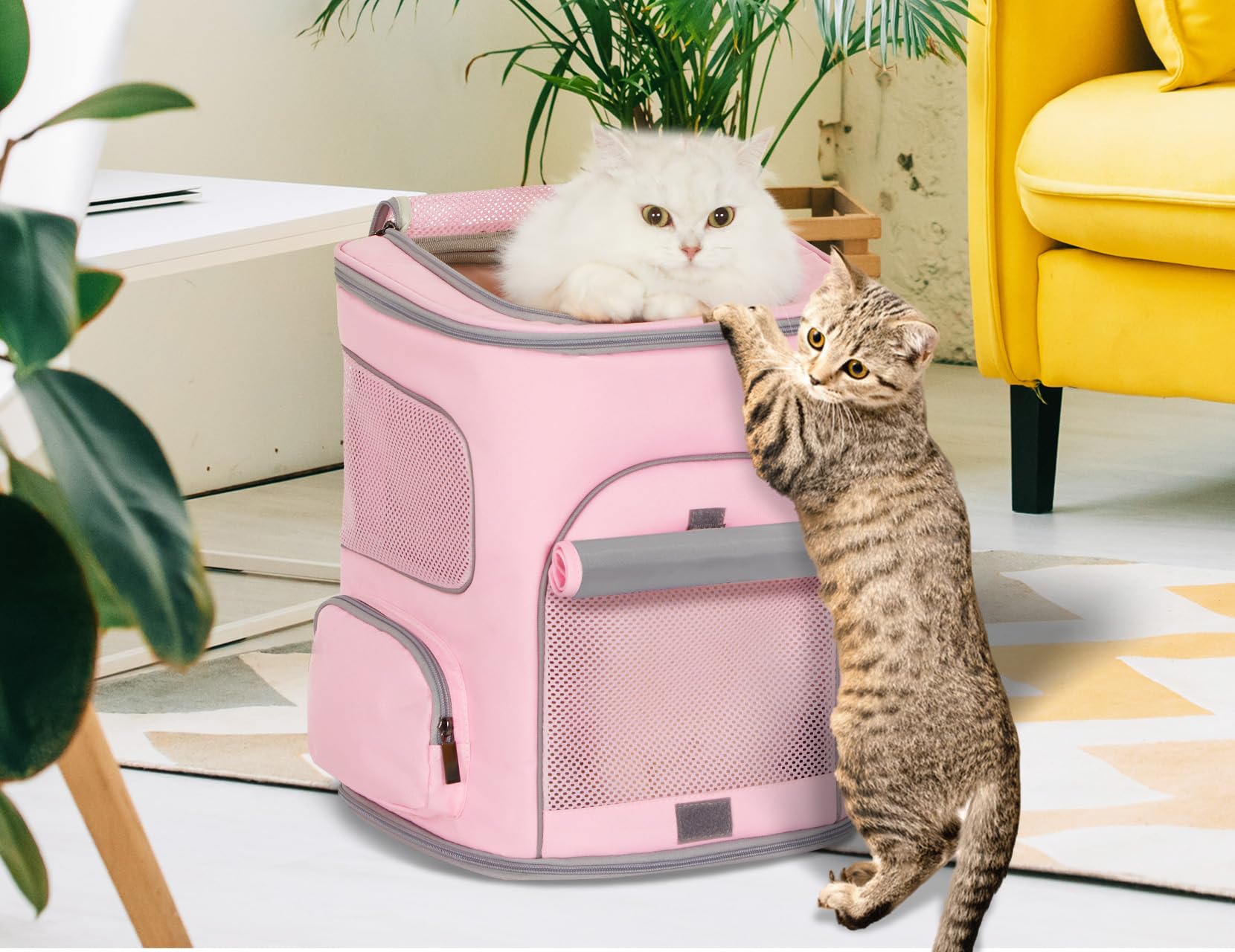PETSFIT pet carrier backpack ideal for outdoors like hiking and camping.