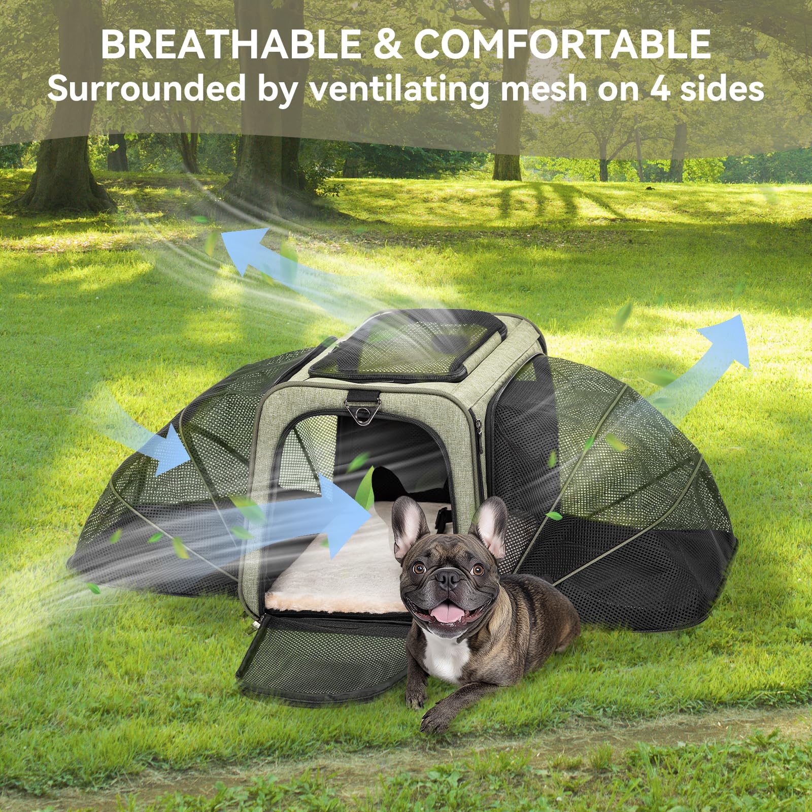 Petsfit PP board base pet carrier supports pets with steady ground during travel.