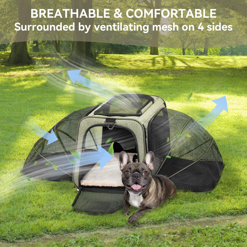 Petsfit PP board base pet carrier supports pets with steady ground during travel.