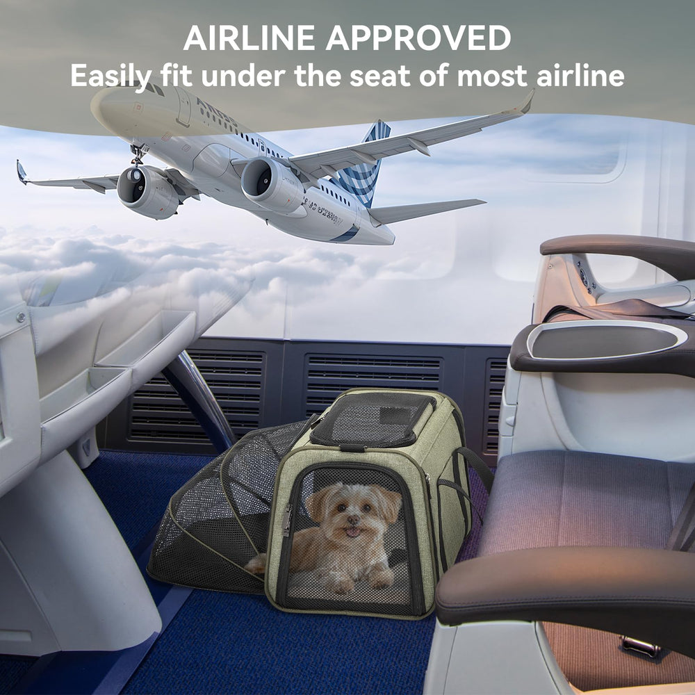 Petsfit carrier includes adjustable handles and shoulder strap for versatile carrying.