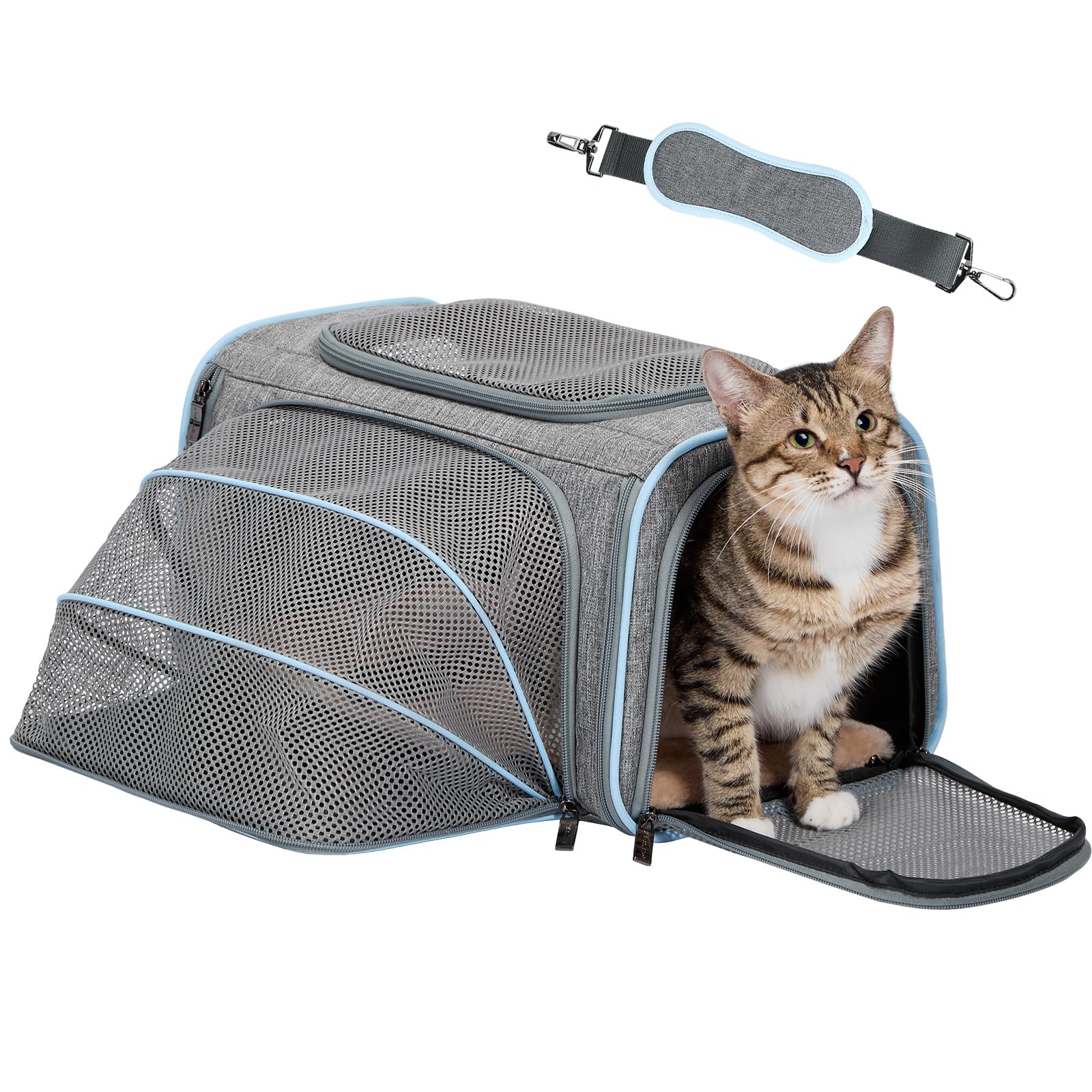 Petsfit small cat carrier expandable under-seat for flight-ready travel.