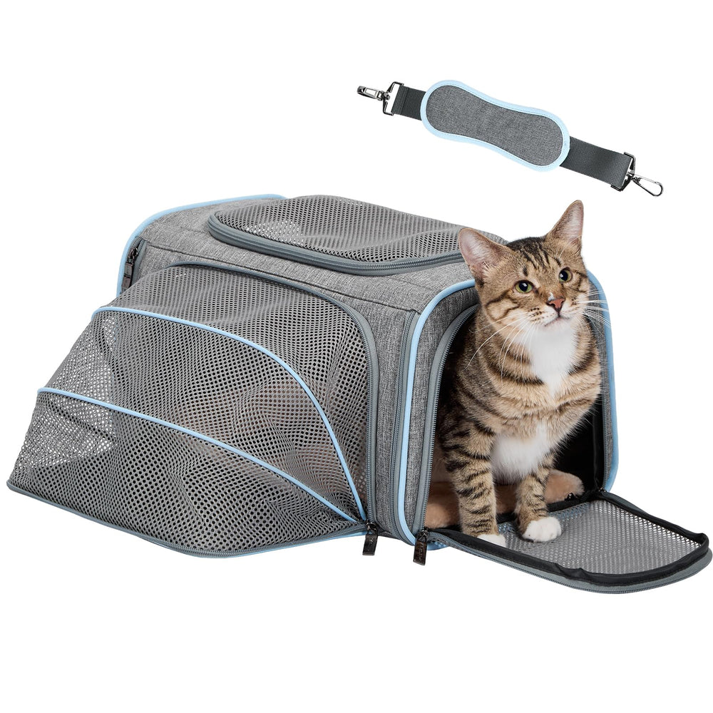 Petsfit small cat carrier expandable under-seat for flight-ready travel.