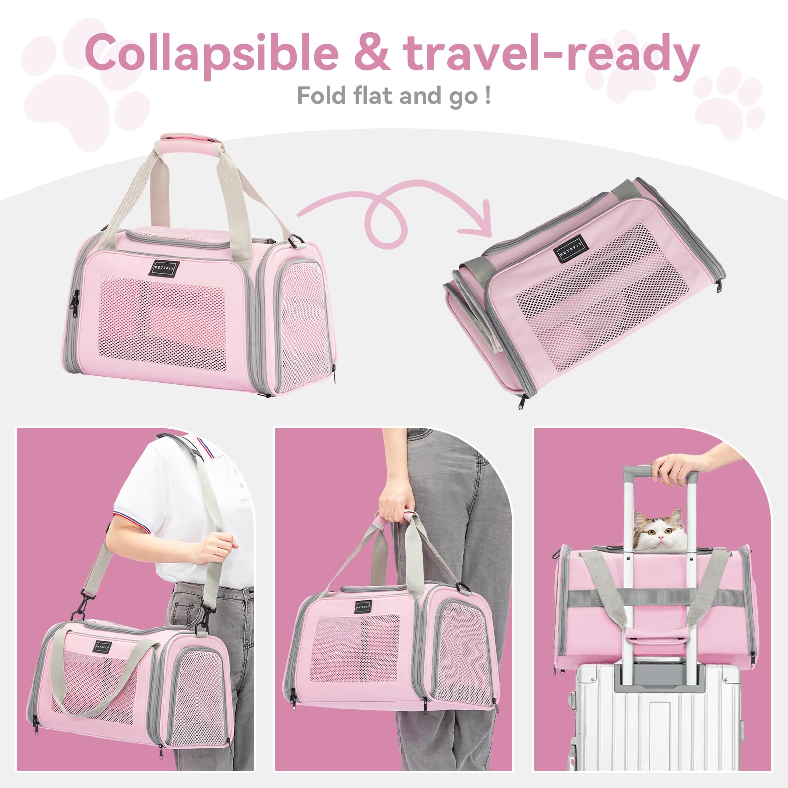 Petsfit small-cat travel companion ideal for vet visits or car rides.