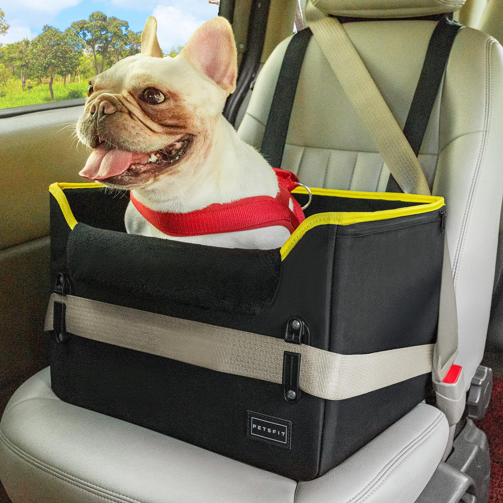 PETSFIT small dog car seat buckle focus with patented safety buckles for secure rides