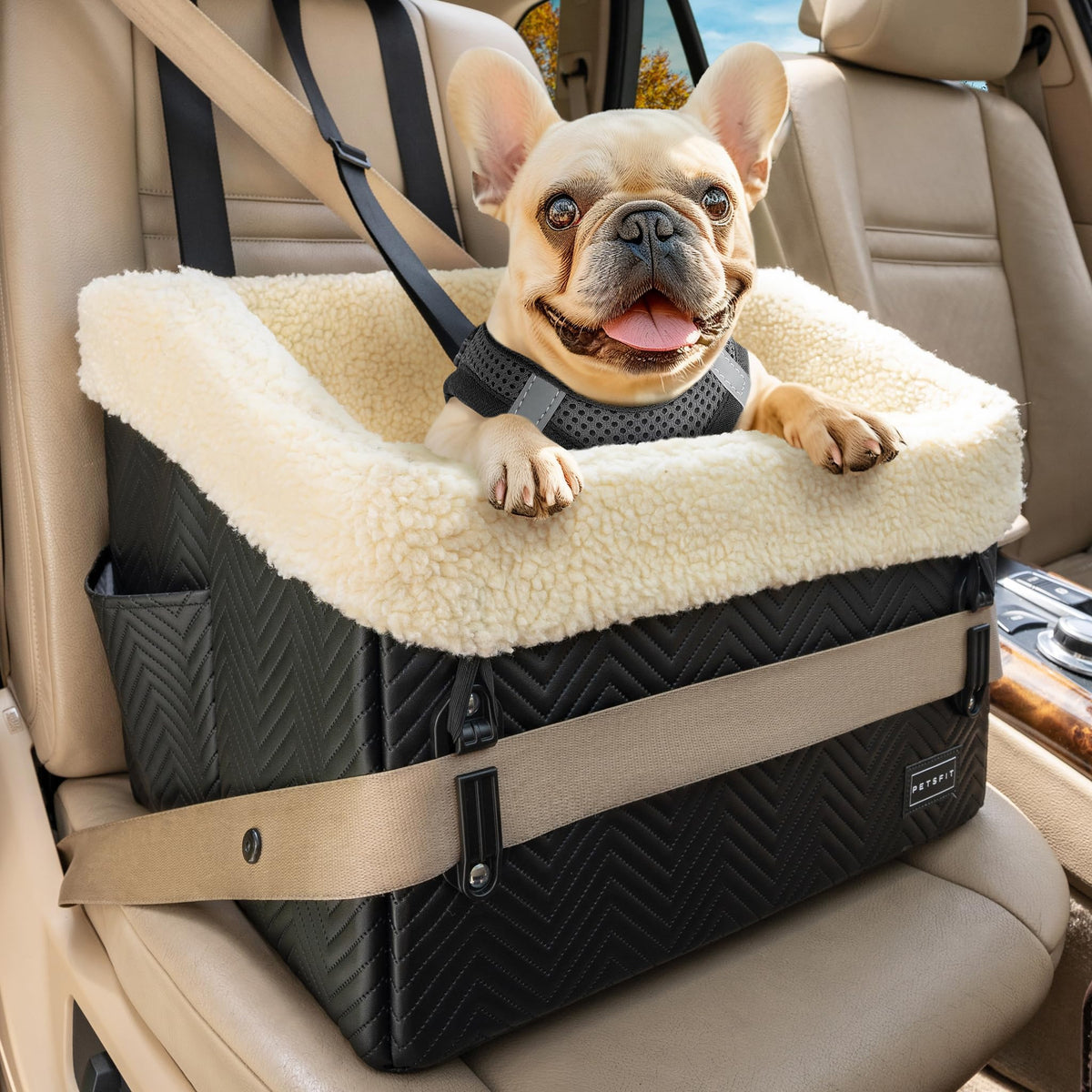 Petsfit small dog car seat front view demonstrates a secure setup for safer road trips.