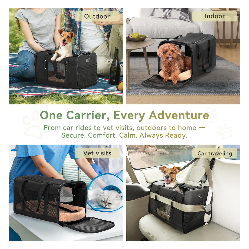Petsfit top opening allows eye contact and reassurance during travel.