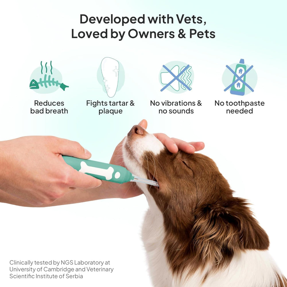 Petsie daily-dog-brushing-routine demonstrates easy daily dental care.