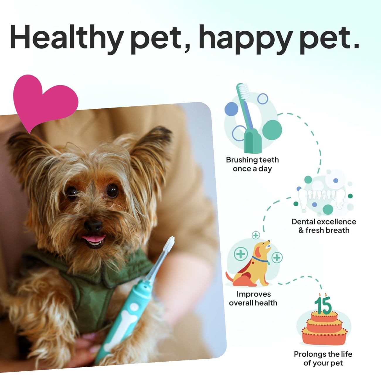 Petsie no-toothpaste-needed usage demonstrates simple home brushing.