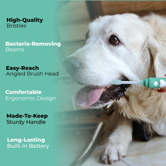 Petsie silent brushing for dogs demonstrates calm daily dental care.
