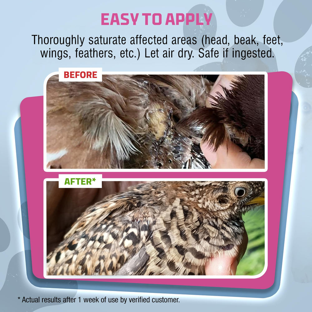 PetSilver safe-peck-friendly spray applied on a beak area