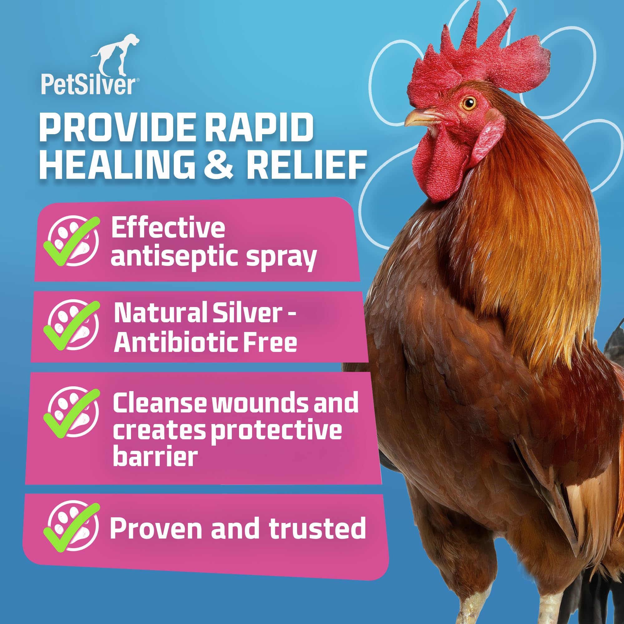 PetSilver silver solution close-up highlighting chelated silver benefits