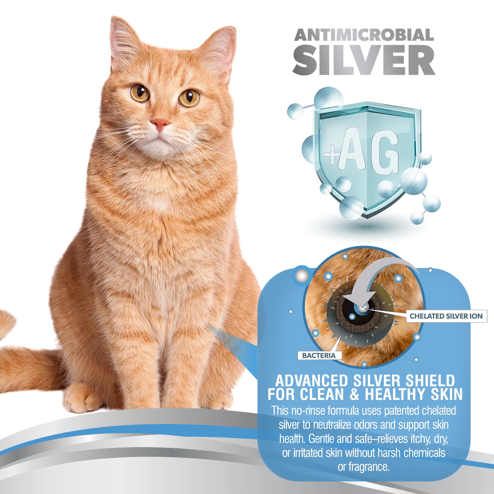 Petsilver Waterless Cat Shampoo bottle packaging highlights convenient travel-size option for quick touch-ups.