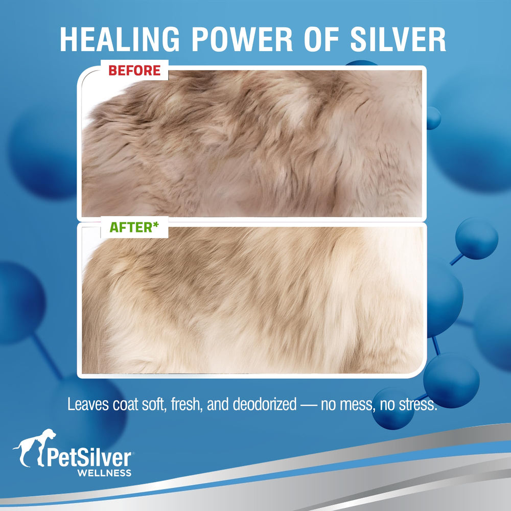 Petsilver Waterless Cat Shampoo long-haired cat after use reveals smoother coat and deodorized scent.