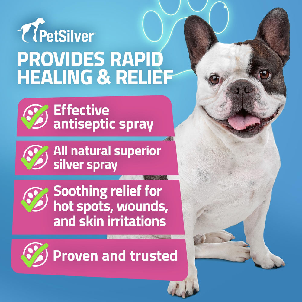PetSilver Wound & Skin Spray used on a pet's face and ears for gentle care.