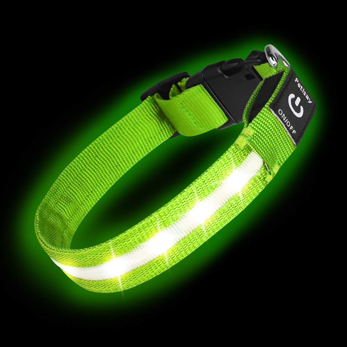 PetIsay super-bright LED dog collar in green on dog for night visibility