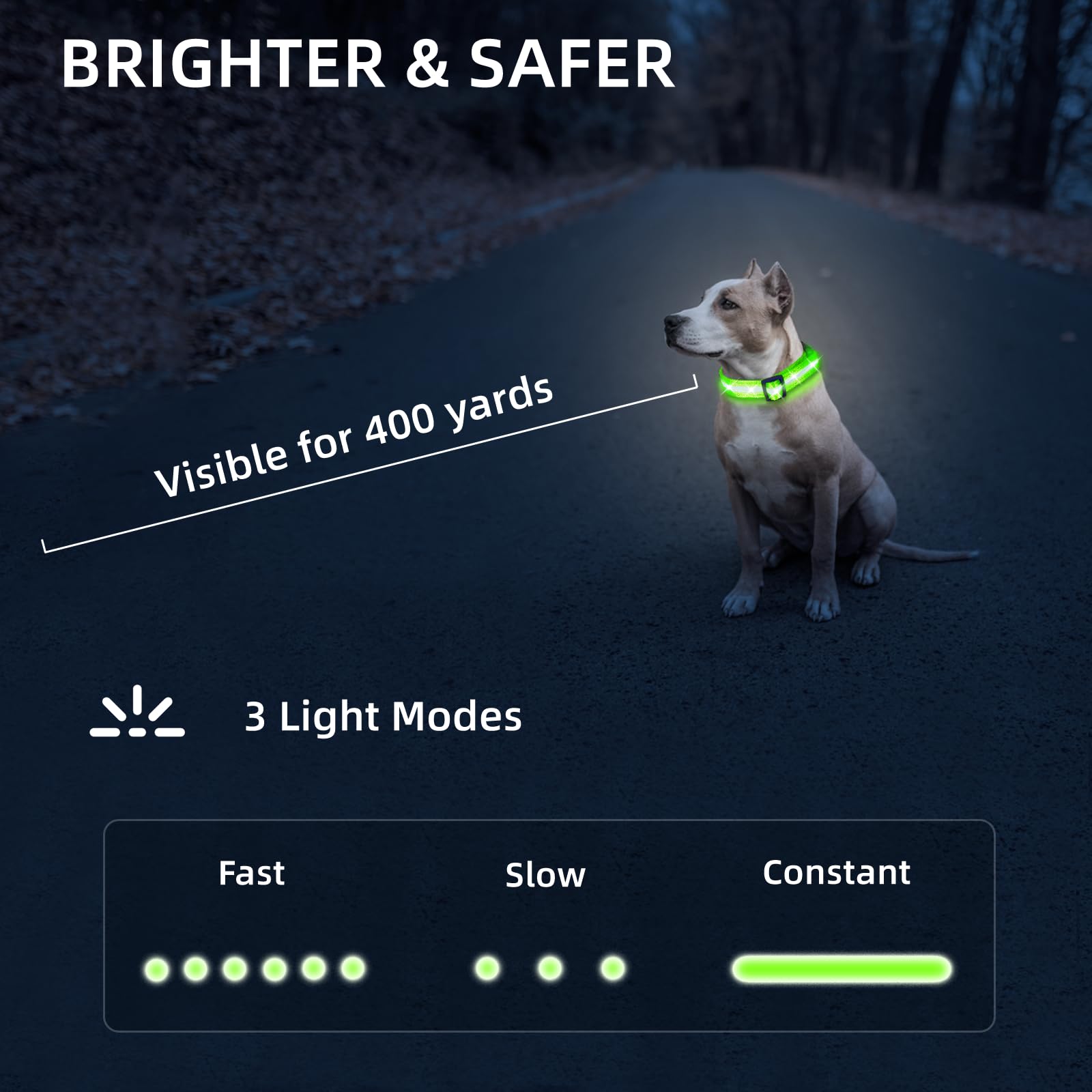PetIsay USB-C rechargeable collar quick-charge feature for ready-to-use walks