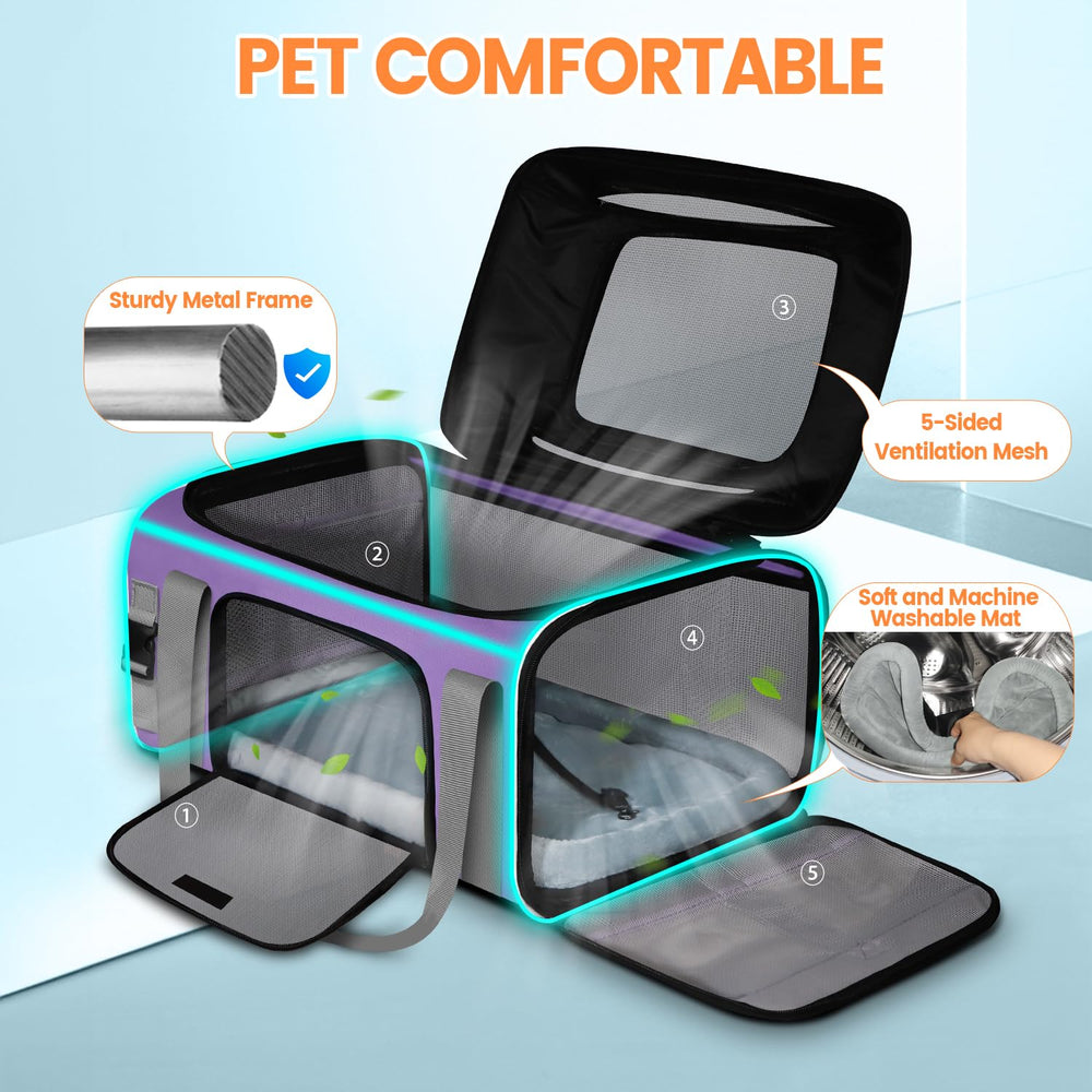 Petskd built-in adjustable rope buckle secures pet collar quickly during trips.