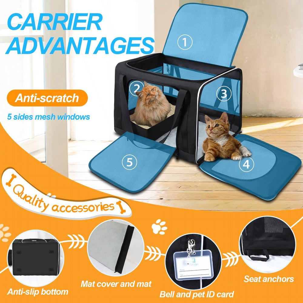 Petskd car seat anchors secure the carrier during travel.