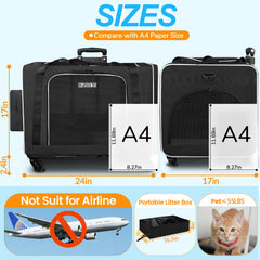 Petskd cat carrier interior space highlights roomy shelter for large or multiple cats.