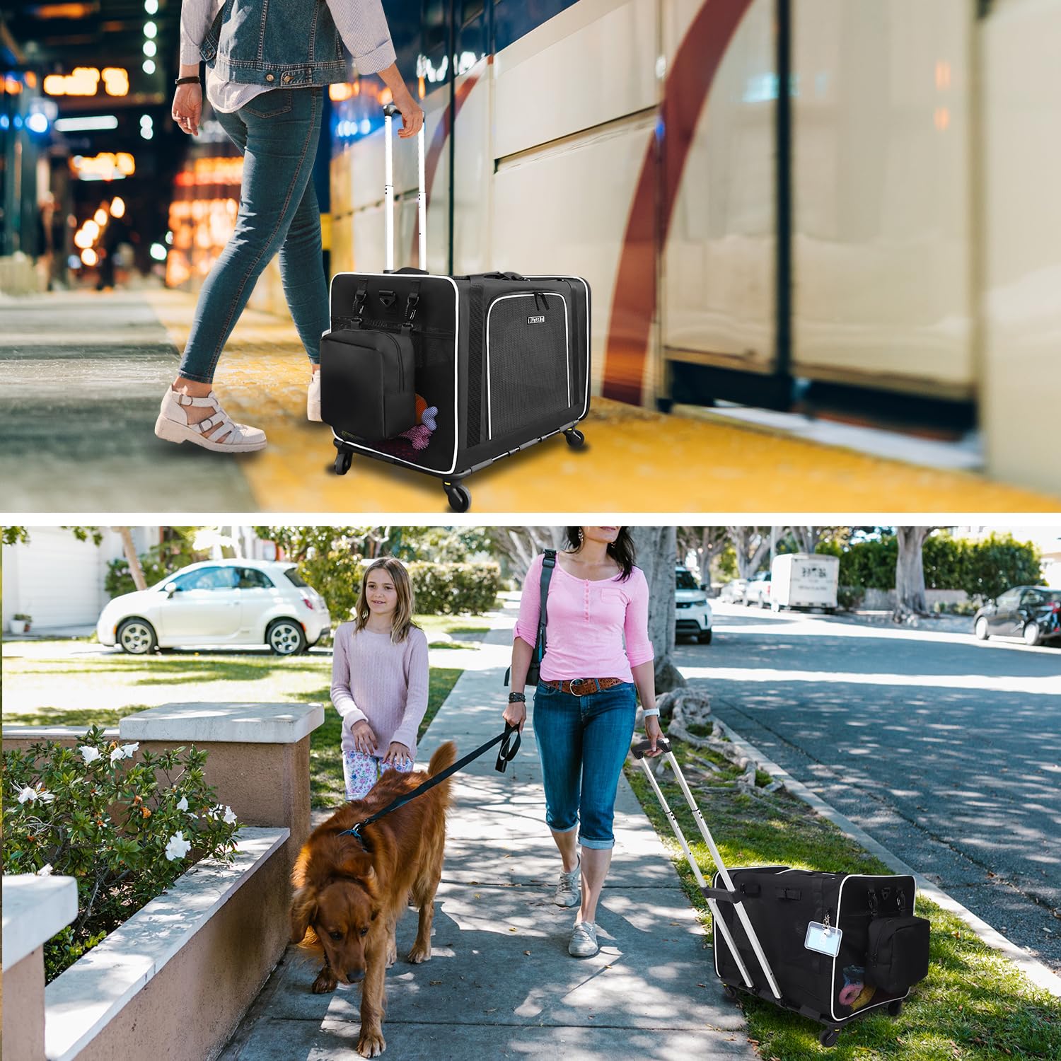 Petskd durable material and lockable zippers emphasize safety and longevity.