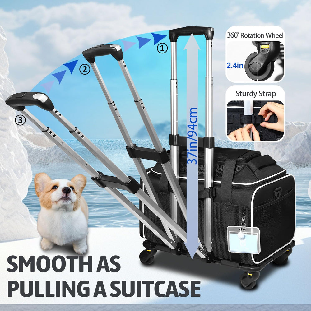 Petskd durable waterproof fabric keeps the carrier resilient and pet-friendly.