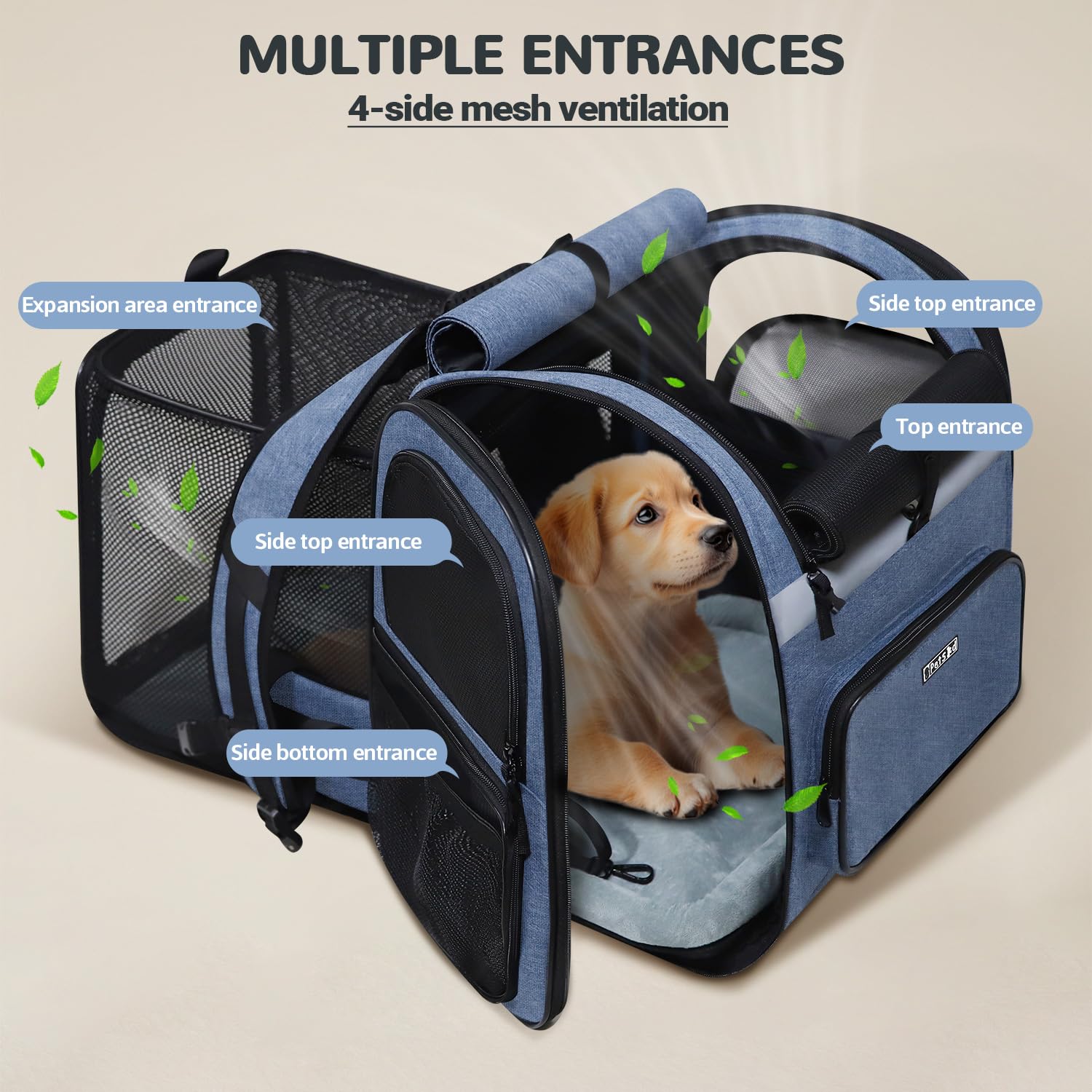 Petskd expandable pet backpack blue bottom pad shows solid support and stability