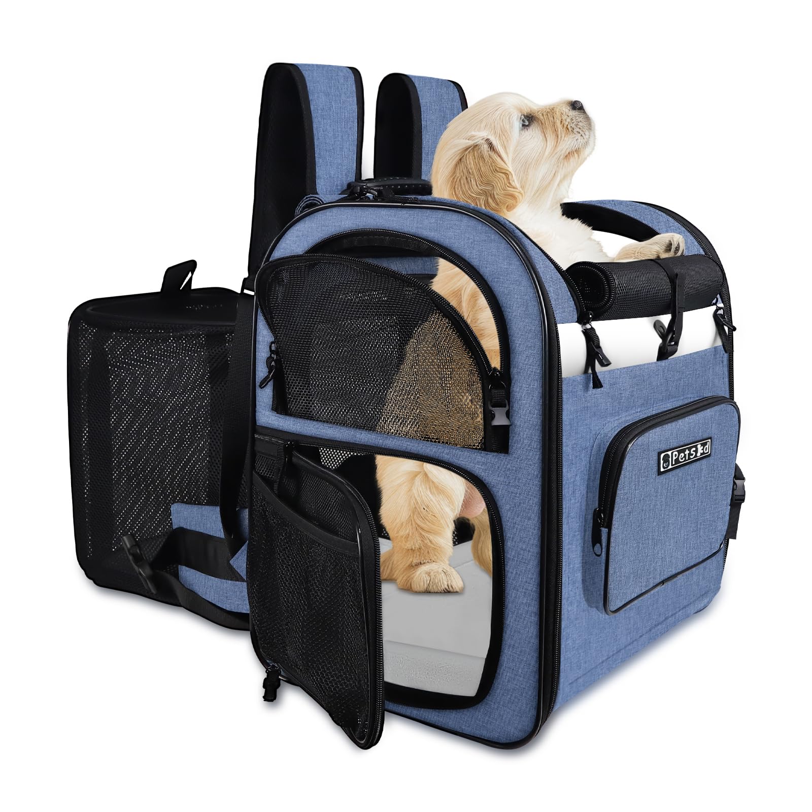 Petskd expandable pet backpack blue front view shows roomy space for small dogs or cats