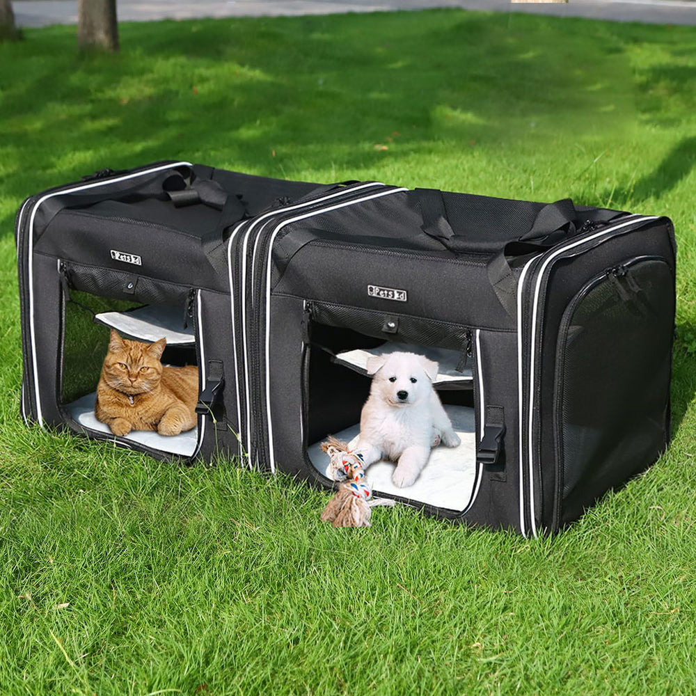 Petskd in-car use shows two cats sharing a secure carrier on a car seat