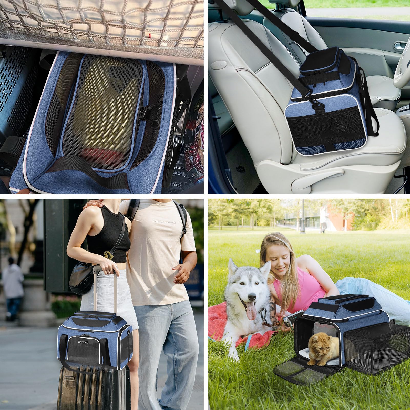 Petskd-inside-view-clean-interior supports easy pet checks