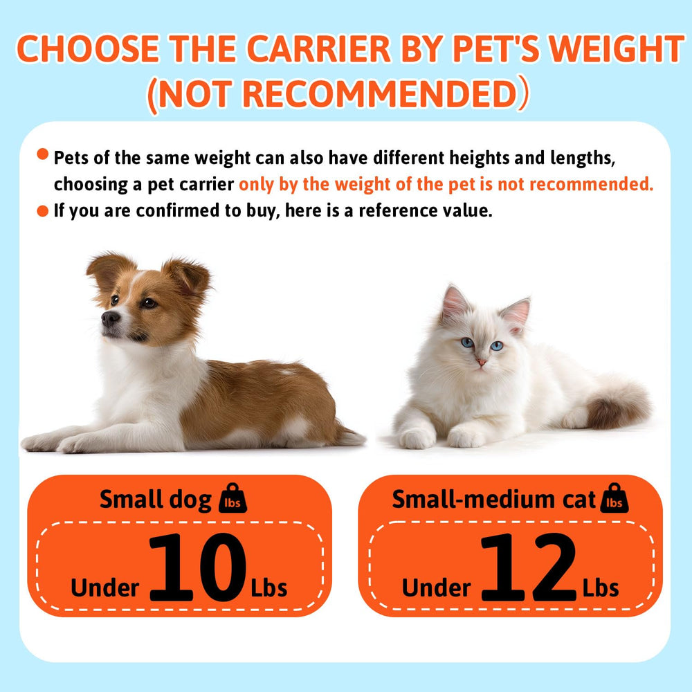 Petskd mesh ventilation on five sides provides clear visibility and steady airflow.