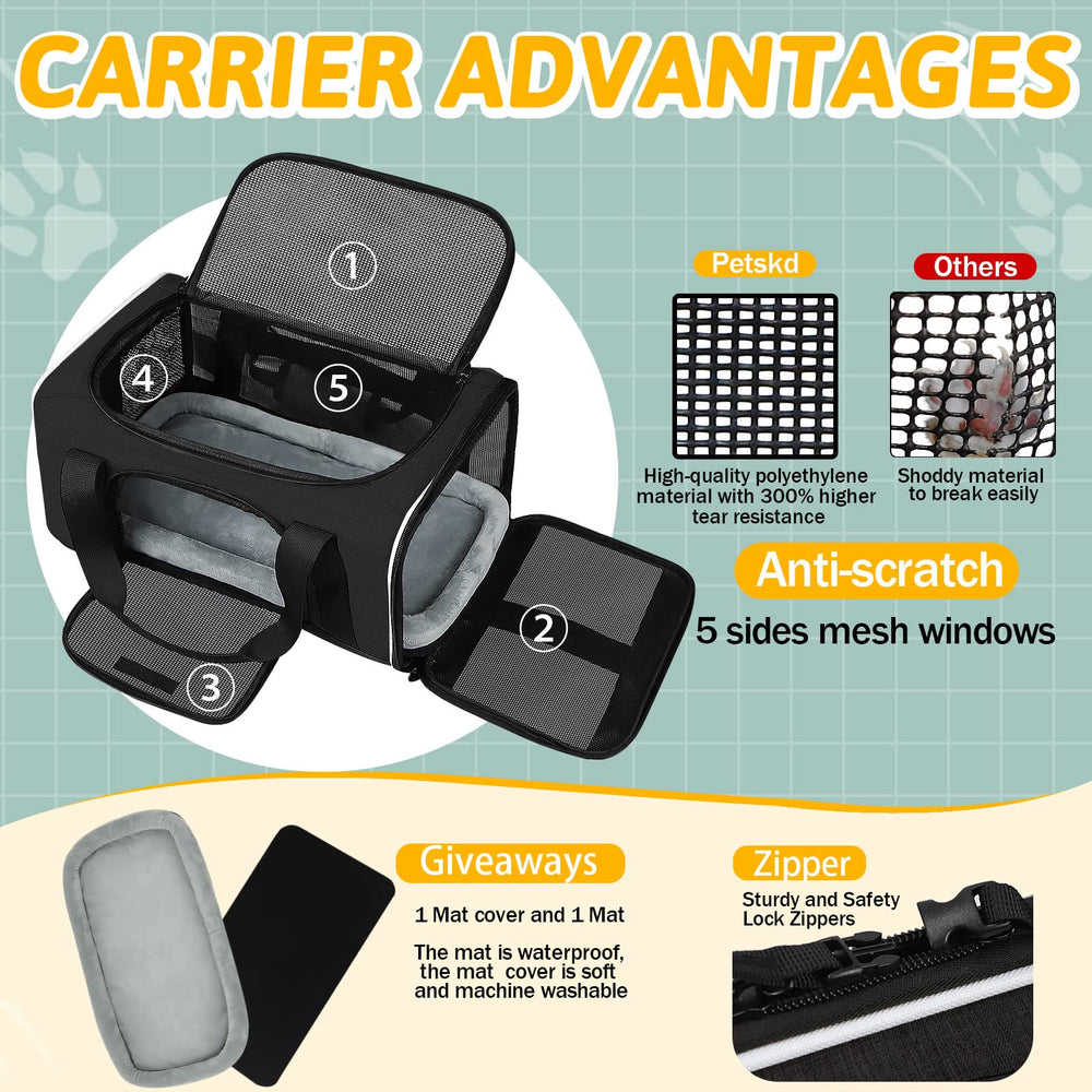 Petskd pet carrier interior view with collar buckle for secure fit