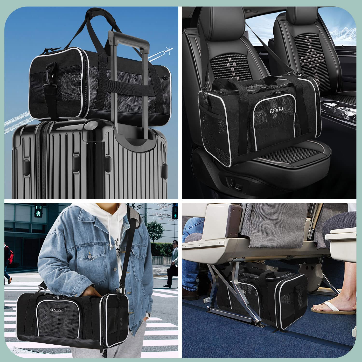 Petskd quality guarantee details highlight 12-month after-sale support