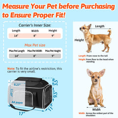 Petskd soft-sided carrier shows suitcase-style handle for easy transport.