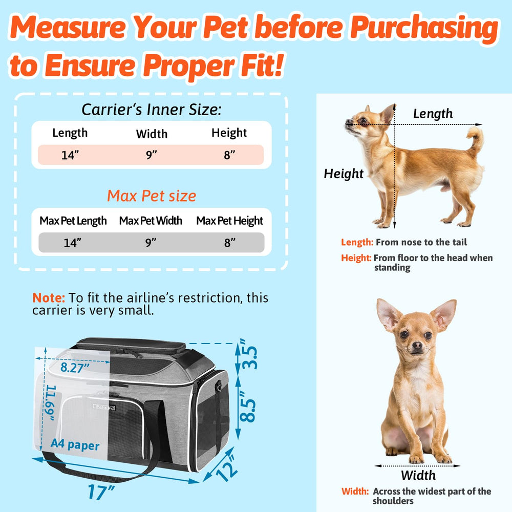 Petskd safe-design carrier with stainless rod keeps the top from collapsing during trips.