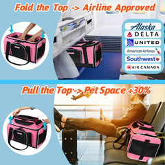 Petskd carrier with airline-approved dimensions demonstrates compact travel fit