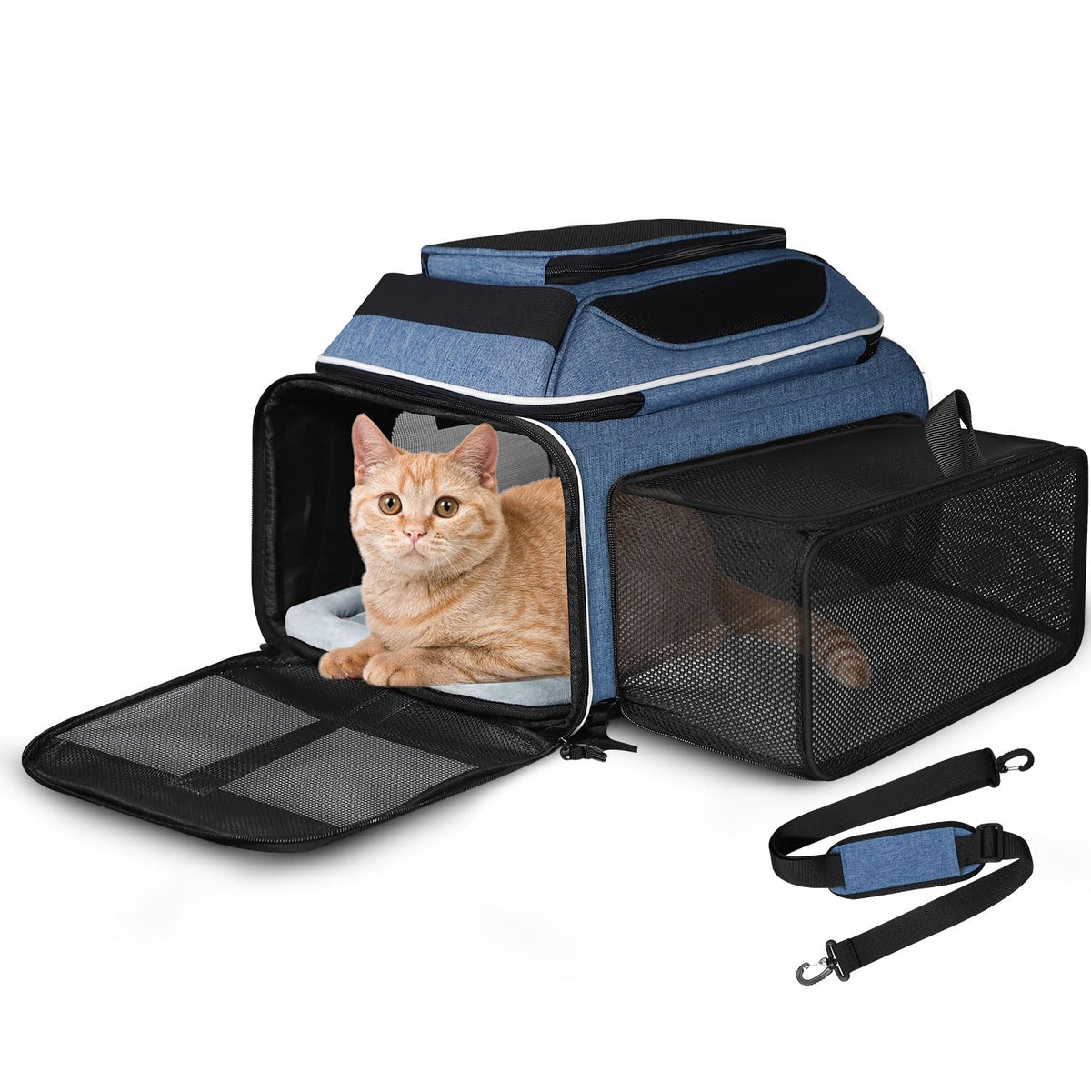 Petskd top-side expandable carrier demonstrates extra space for pet comfort on the go