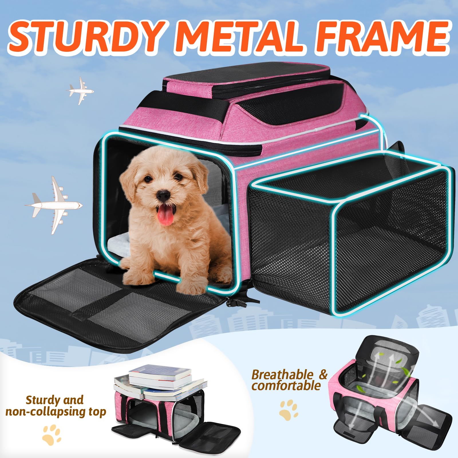 Petskd side-expansion demonstrates cat lounging and stretching during trips.