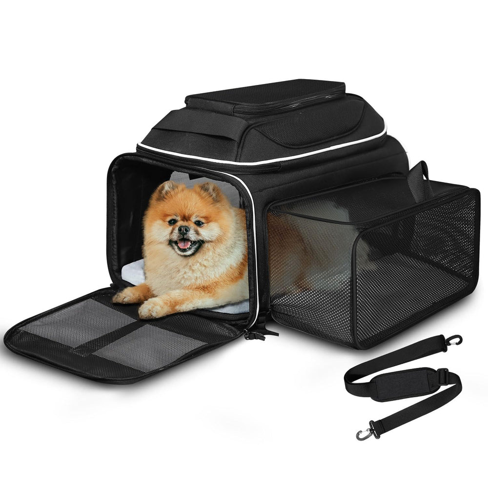 Petskd top-side expandable carrier under-seat view for compact travel with small pets.