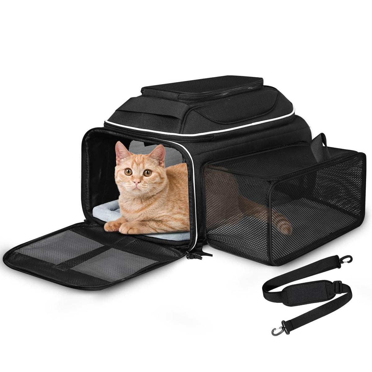 Petskd top and side expandable carrier under-seat JetBlue-friendly for quick trips.