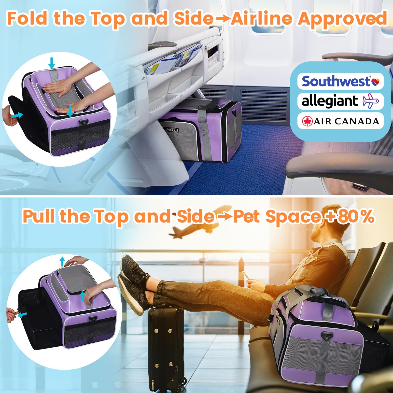 Petskd under-seat view highlights Southwest and Allegiant travel compatibility