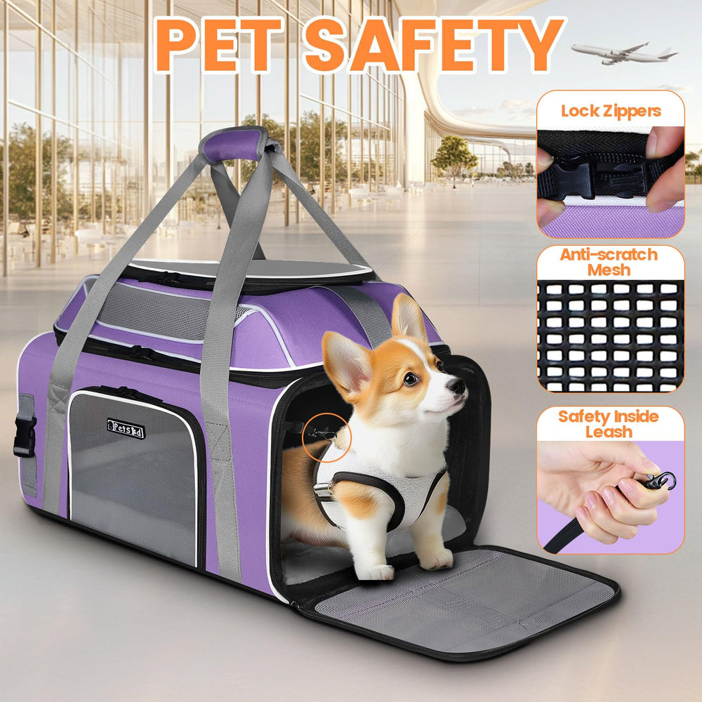 Petskd five-sided mesh ventilation view emphasizes breathable airflow
