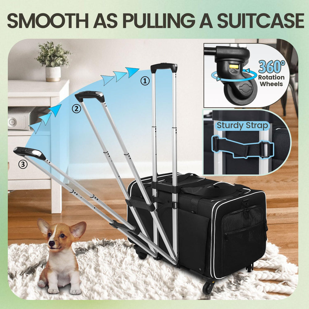Petskd ventilation mesh windows provide airflow and visibility