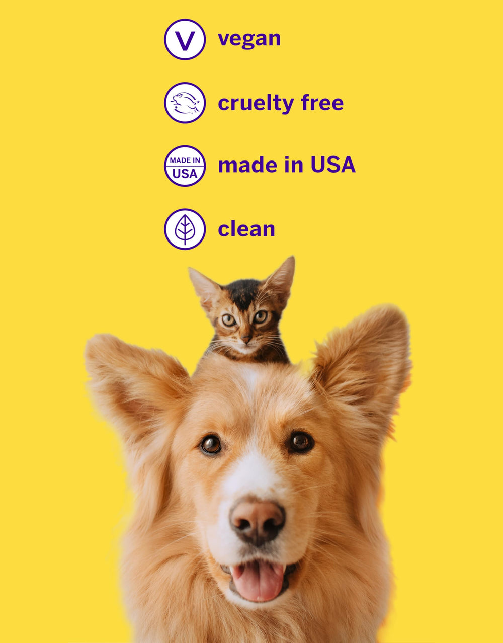Petsmile Pro fresh-breath closeup captures a cleaner pet smile