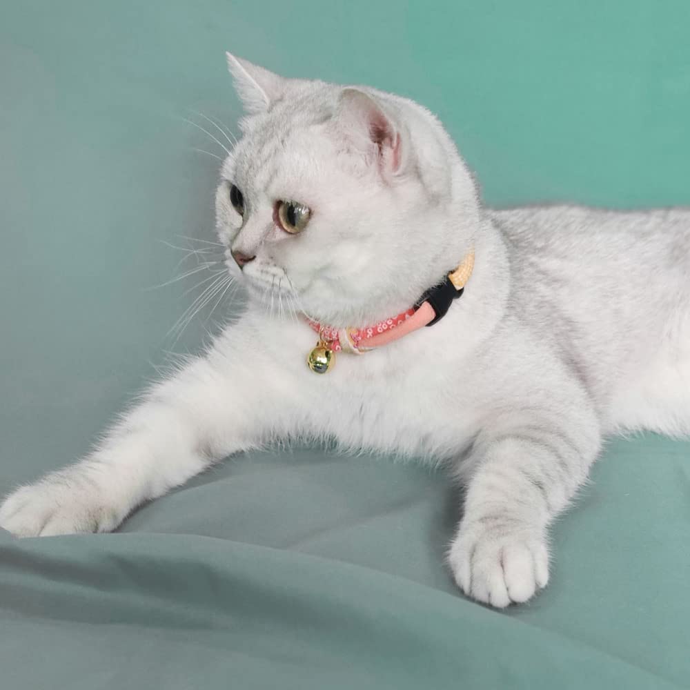 PetSoKoo adjustable collar fits most kittens and adult cats