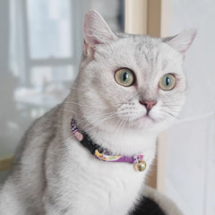 PetSoKoo handmade cat collar with careful stitching and attention to detail