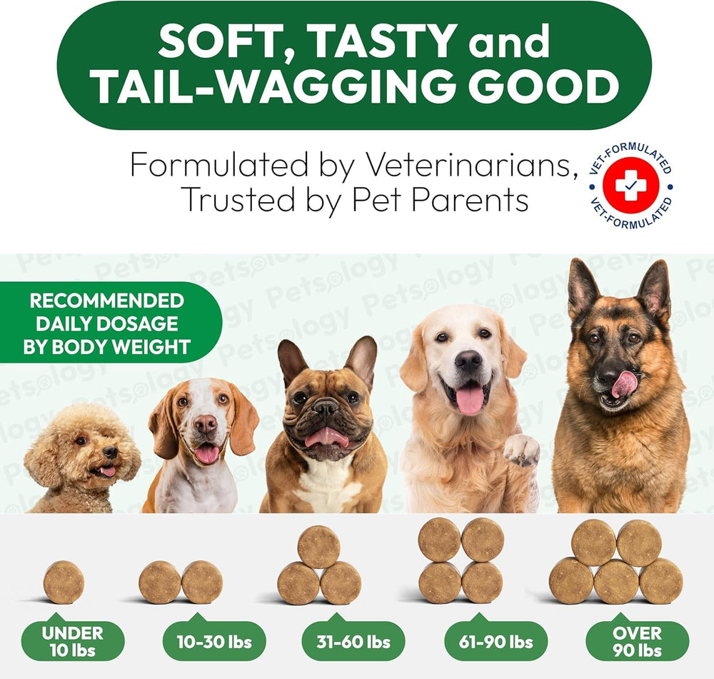 Petsology 2-pack bottle together demonstrates value-conscious option for dog joint wellness.