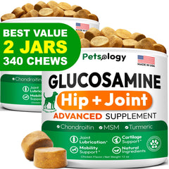 Petsology 2-pack glucosamine dog chews bottle—supports joint comfort and mobility for dogs.